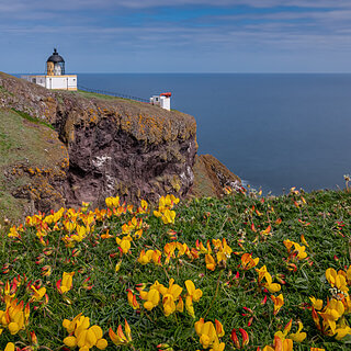St Abbs Head - Lighthouse
